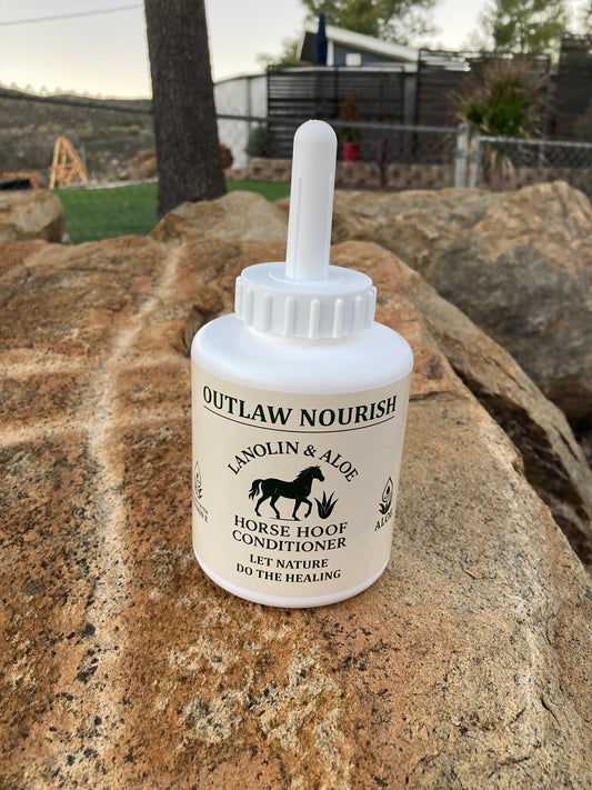 Outlaw Products for horses