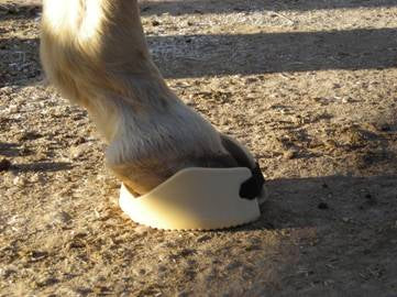 Outlaw Laminitis Founder Hoof Comfort Pad for Horses