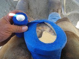 Outlaw Laminitis Founder Hoof Comfort Pad for Horses